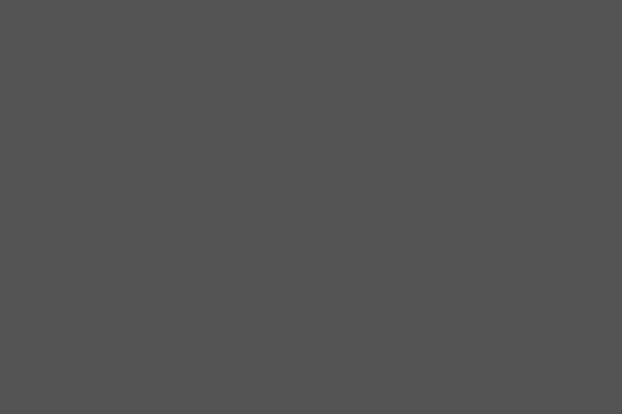 Fondo - gris oscuro